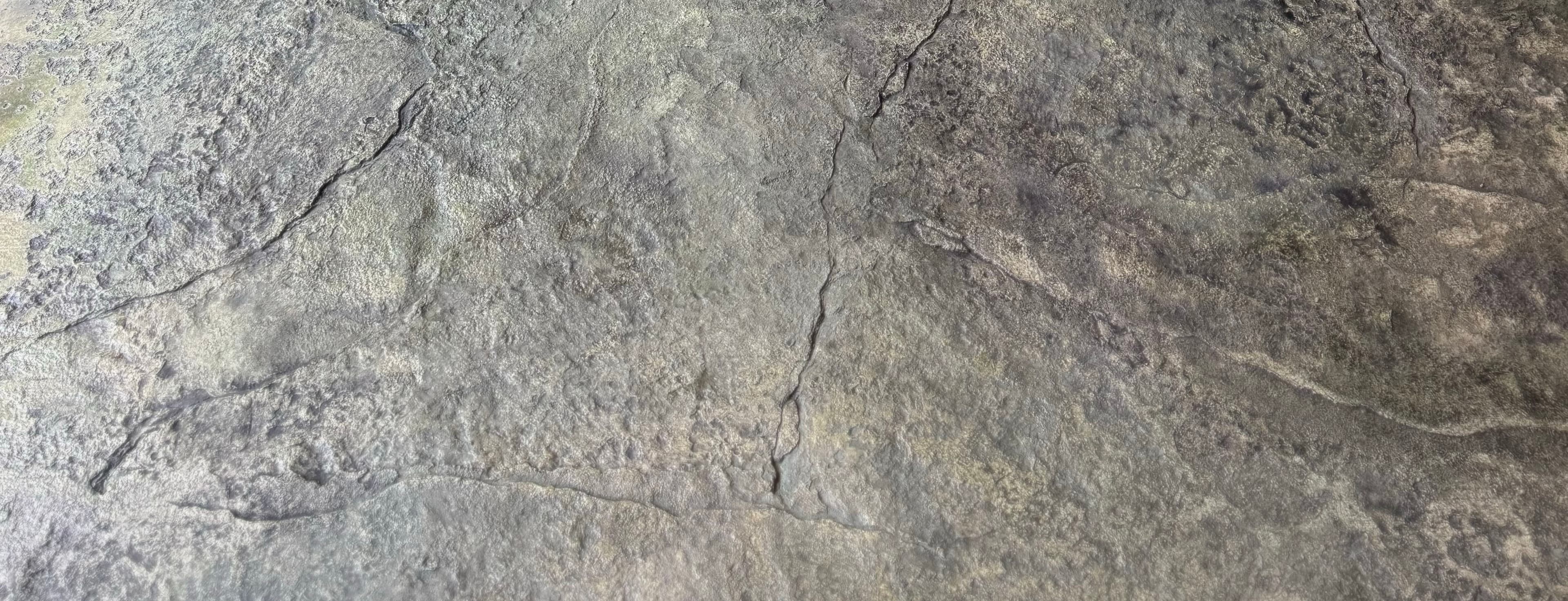 Concrete Doctor of NY contact background